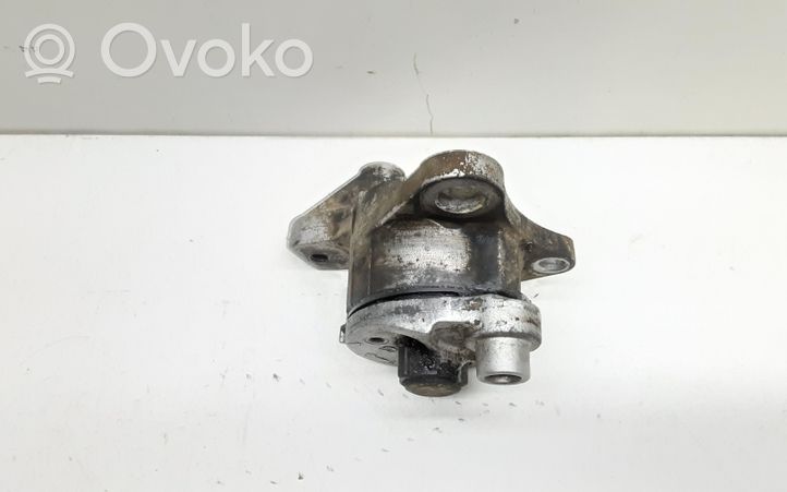 Toyota RAV 4 (XA20) Napinacz paska wielorowkowego / Alternatora 