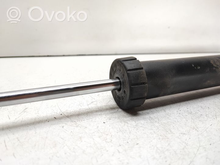 Volkswagen New Beetle Rear shock absorber/damper 1J0512011BP