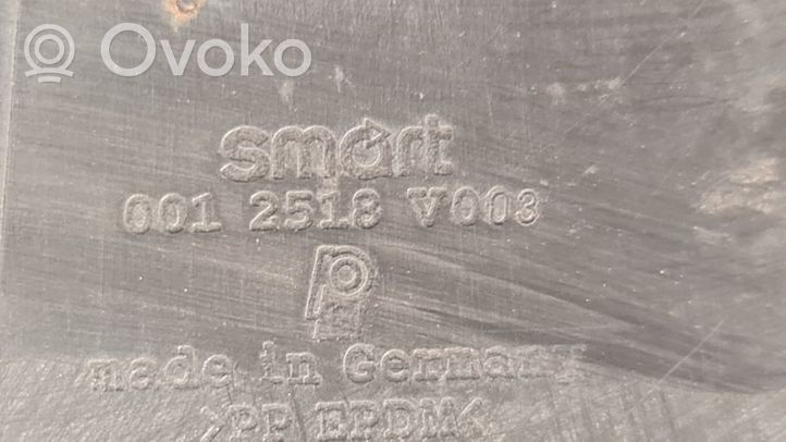 Smart Roadster Osłona / Nakładka progu 0012518V003
