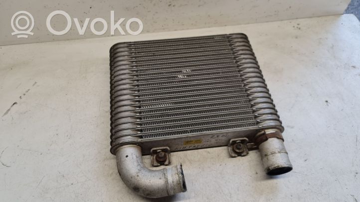 KIA Pregio Chłodnica powietrza doładowującego / Intercooler 281904261X