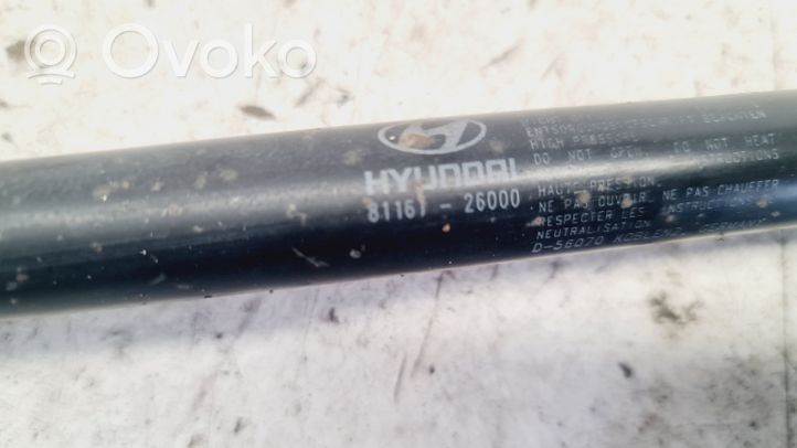 Hyundai Santa Fe Vérin, capot-moteur 8116126000