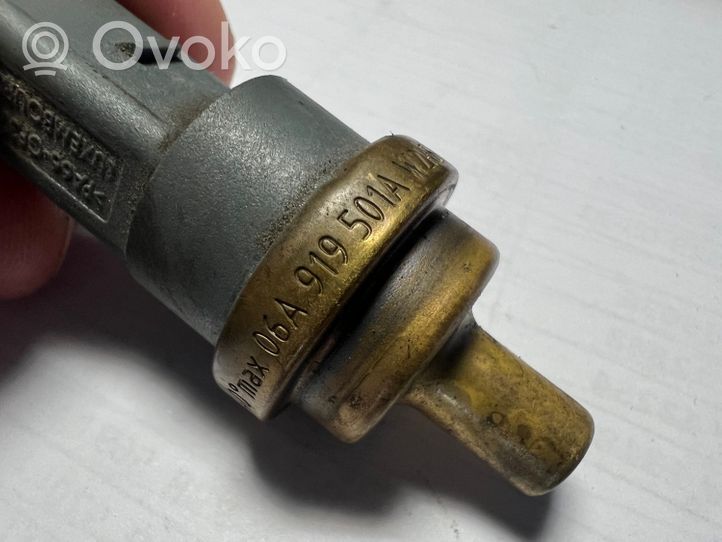 Audi A4 S4 B8 8K Sonde de température de liquide de refroidissement 06A919501A