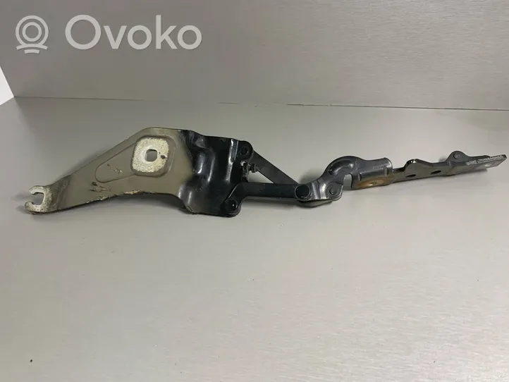 BMW X5 E70 Cerniere del vano motore/cofano 7208627