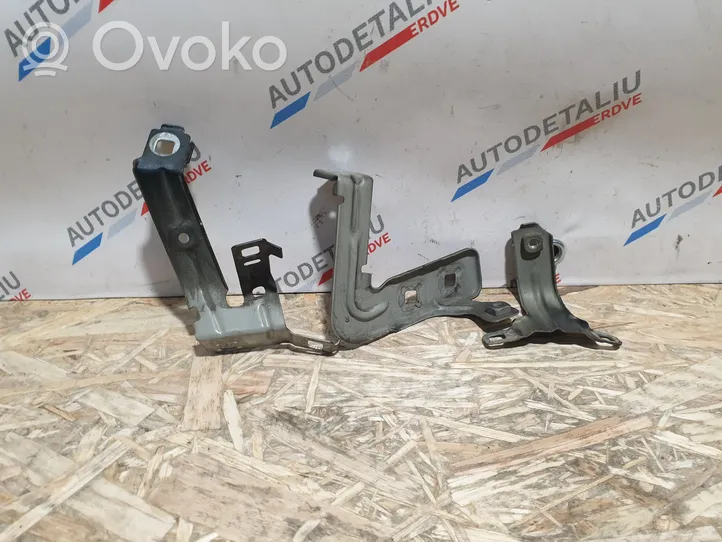 BMW 1 F20 F21 Supporto di montaggio del parafango 7284652