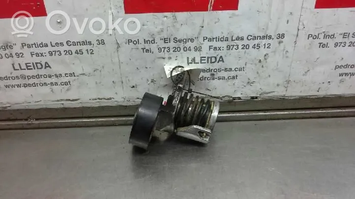 Seat Leon (1P) Tendicinghia generatore/alternatore 038903315AH