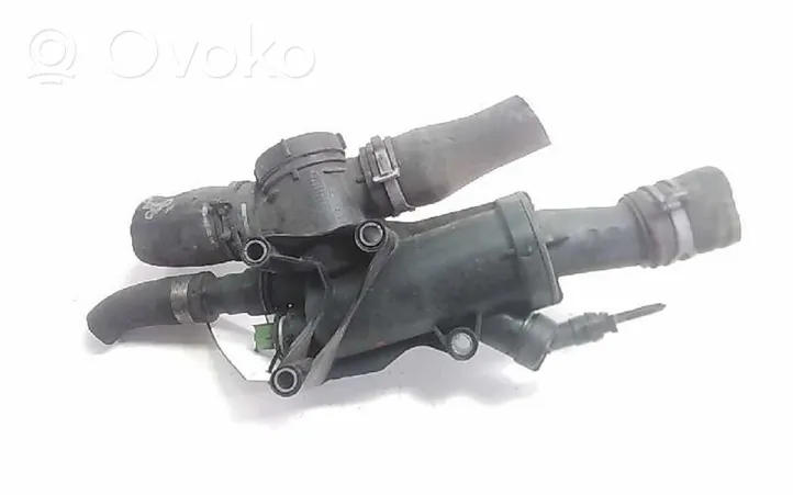 Ford S-MAX Termostatas 9656182980