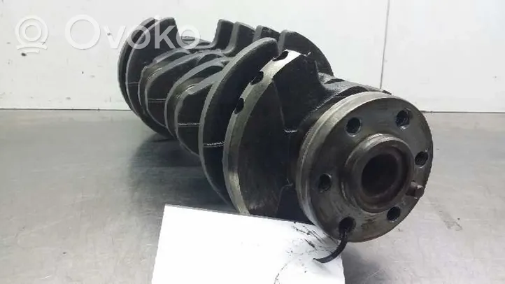 Citroen Saxo Crankshaft J21