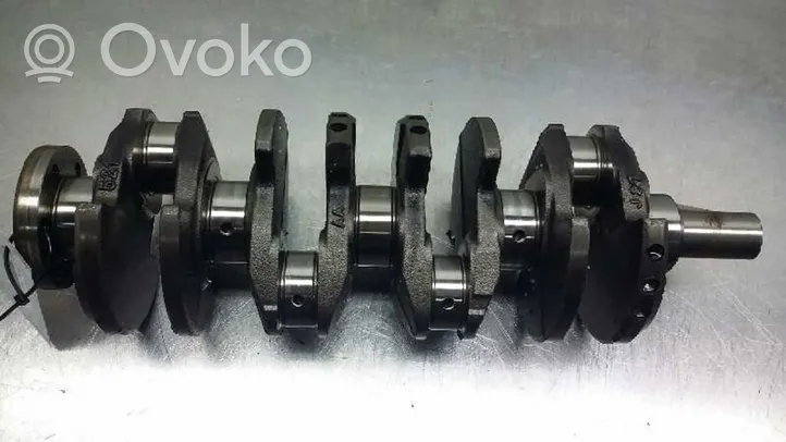 Citroen Saxo Crankshaft J21