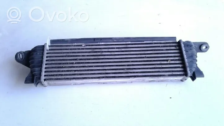 Renault Kangoo I Chłodnica powietrza doładowującego / Intercooler 7701053940