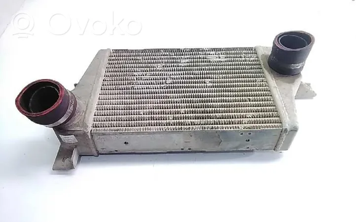 Tata Safari Starpdzesētāja radiators 253414609905