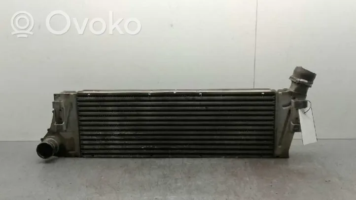 Renault Scenic RX Intercooler radiator 