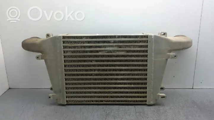 Nissan Atleon Radiatore intercooler 19879005