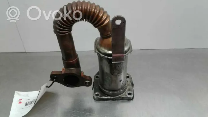 Nissan Kubistar Valvola di raffreddamento EGR 