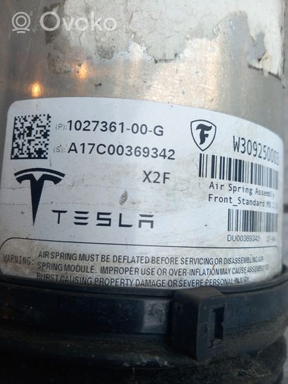 Tesla Model X Ilmajousituksen etuiskunvaimennin 102736100G