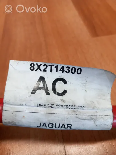 Jaguar XF X250 Câble de batterie positif 8X2T14300