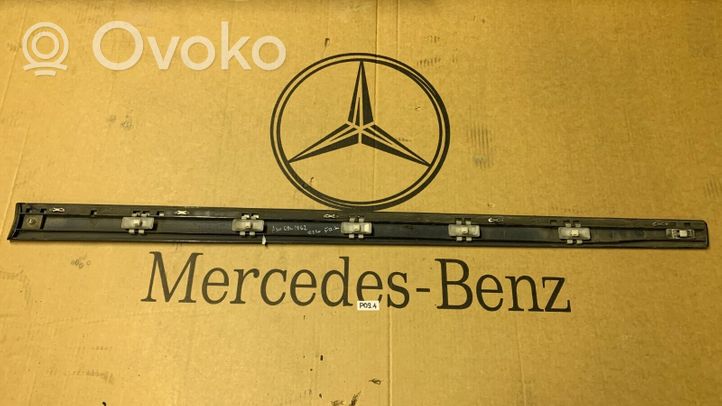 Mercedes-Benz E W211 Rivestimento della portiera anteriore (modanatura) A2116901962