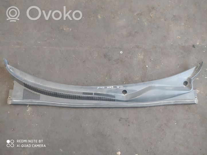 Hyundai Sonata Wiper trim 