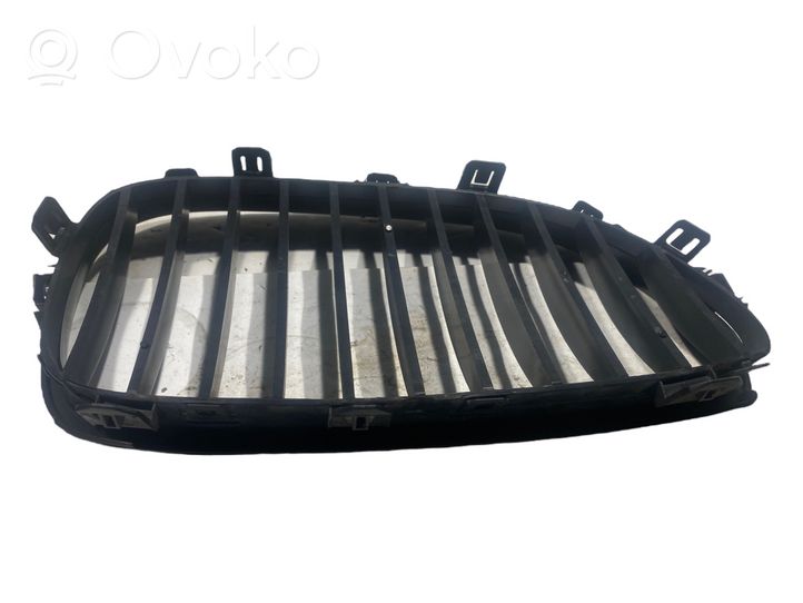 BMW X5 E53 Maskownica / Grill / Atrapa górna chłodnicy 