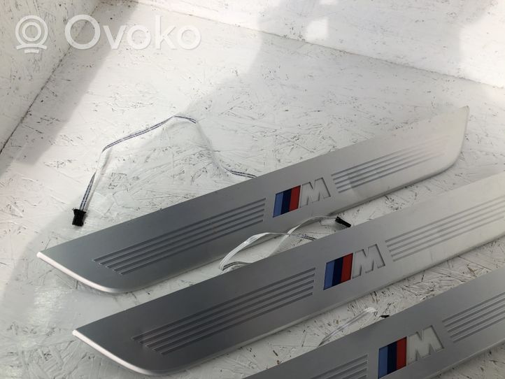 BMW 7 F01 F02 F03 F04 Moldura protectora del borde delantero 10073010