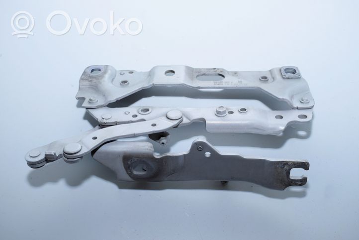 BMW 7 F01 F02 F03 F04 Cerniere del vano motore/cofano 