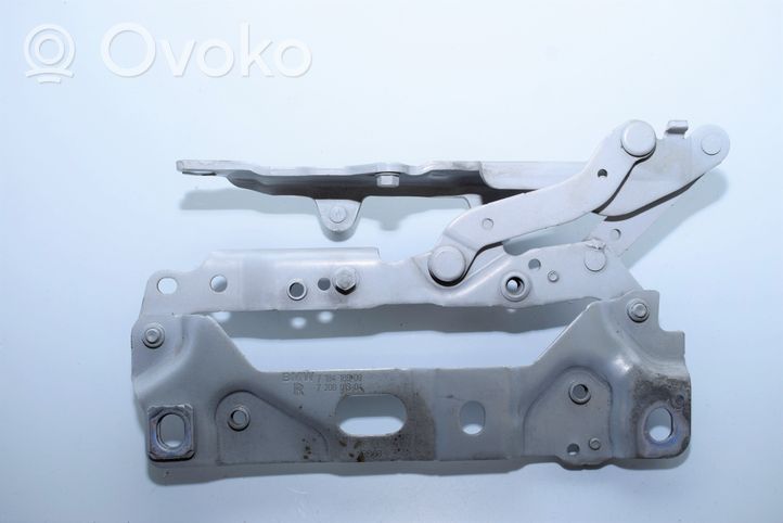 BMW 7 F01 F02 F03 F04 Cerniere del vano motore/cofano 