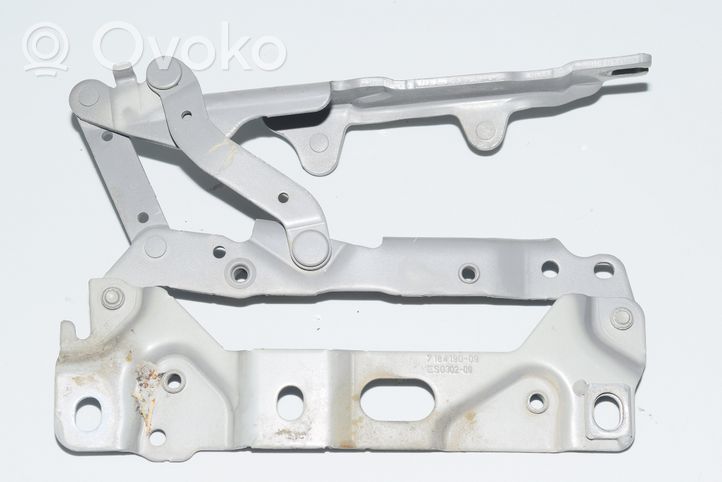 BMW 7 F01 F02 F03 F04 Cerniere del vano motore/cofano 7184190