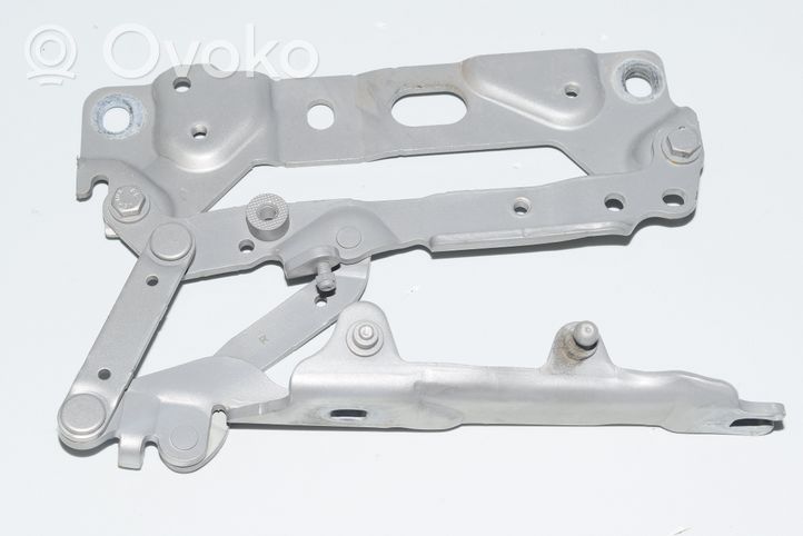 BMW 7 F01 F02 F03 F04 Cerniere del vano motore/cofano 7184190