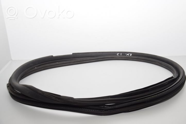 BMW i3 Front door rubber seal 