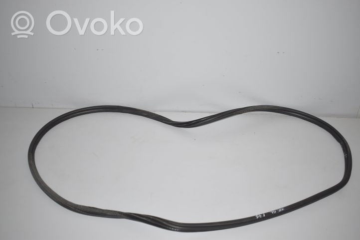 BMW 2 F46 Rear door rubber seal (on body) 7316818