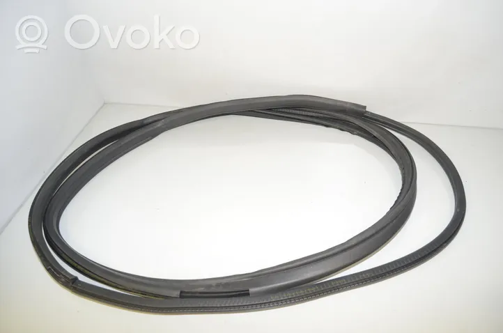 BMW i3 Front door rubber seal 4A04478