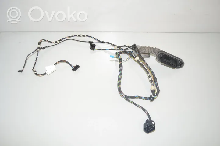 BMW X3 F25 Front door wiring loom 9252377