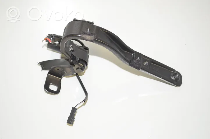 BMW i3 Cerniera portellone posteriore/bagagliaio 7296773