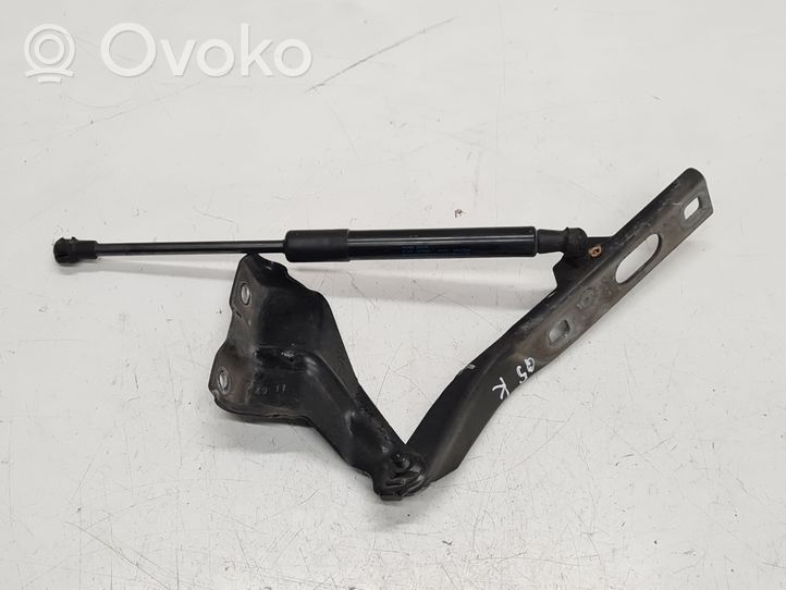 Audi Q5 SQ5 Engine bonnet/hood hinges 