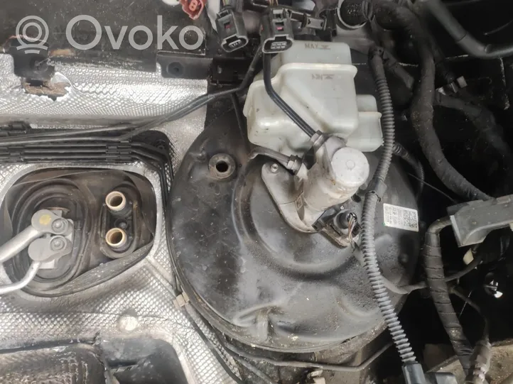 Volkswagen PASSAT Stabdžių vakuumo pūslė 3C1614105AH