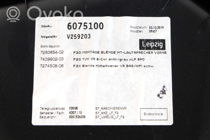 BMW 1 F20 F21 Priekšpusē dekoratīvās apdares lenta 007628