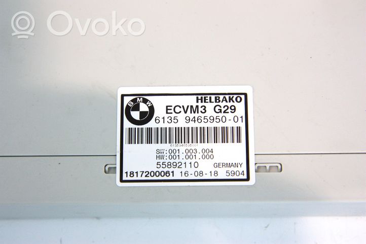 BMW Z4 g29 Other control units/modules 018750