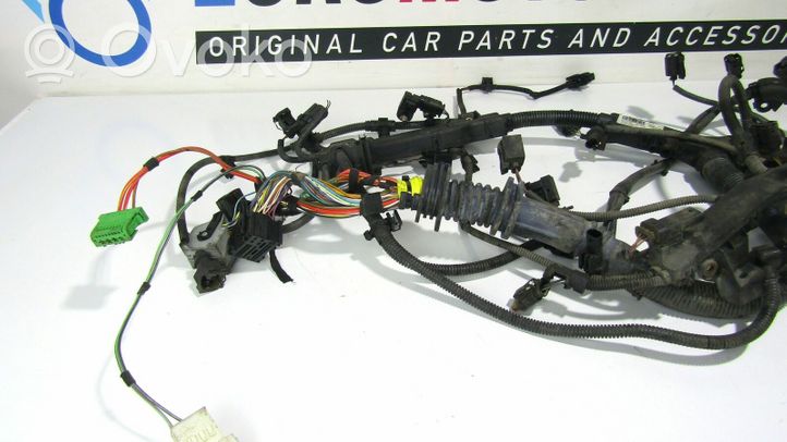 BMW X5 E70 Faisceau de câblage pour moteur 014536