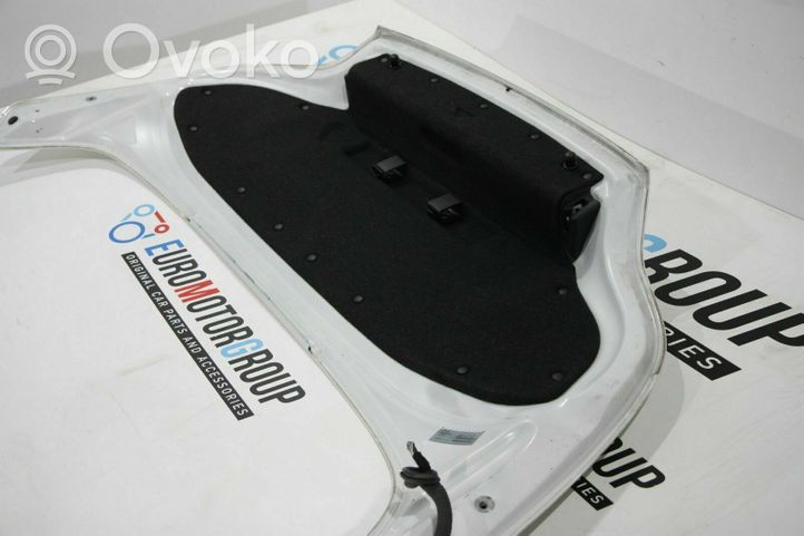 BMW Z4 E89 Tailgate/trunk/boot lid K002301