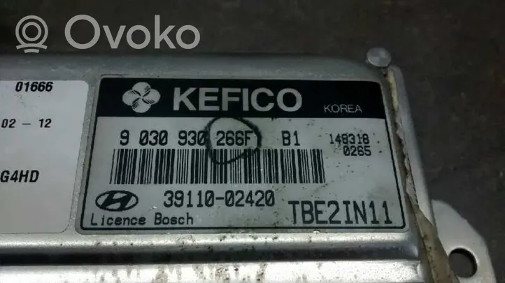 Hyundai Getz Sterownik / Moduł ECU 3911002420