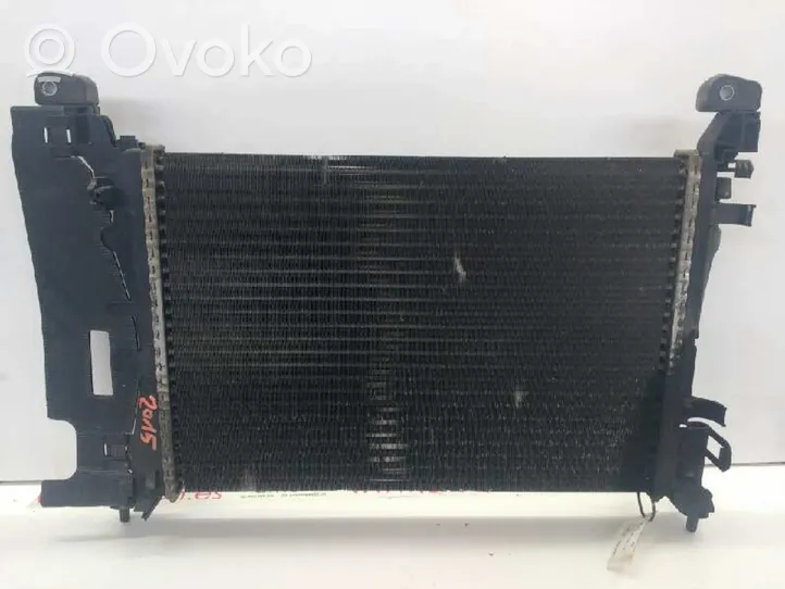 Fiat Punto (199) Radiateur de refroidissement 55700447