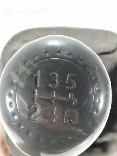 Iveco Daily 3rd gen Gear selector/shifter (interior) 