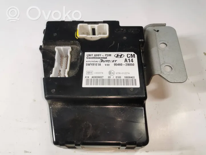 Hyundai Santa Fe Door central lock control unit/module 954602B050