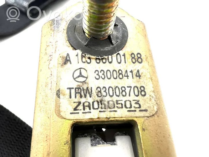 Mercedes-Benz ML W163 Pas bezpieczeństwa fotela przedniego A1638600188