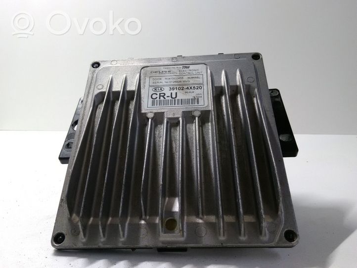 KIA Carnival Calculateur moteur ECU 391024X520