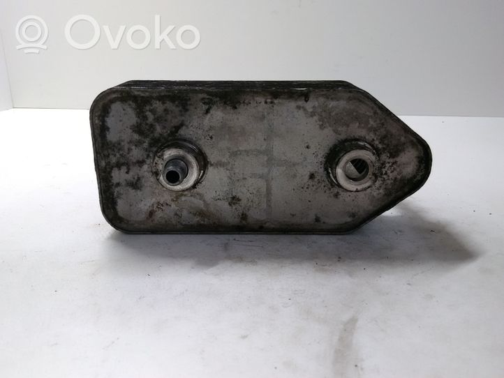 Volkswagen Bora Supporto di montaggio del filtro dell’olio 096409061G