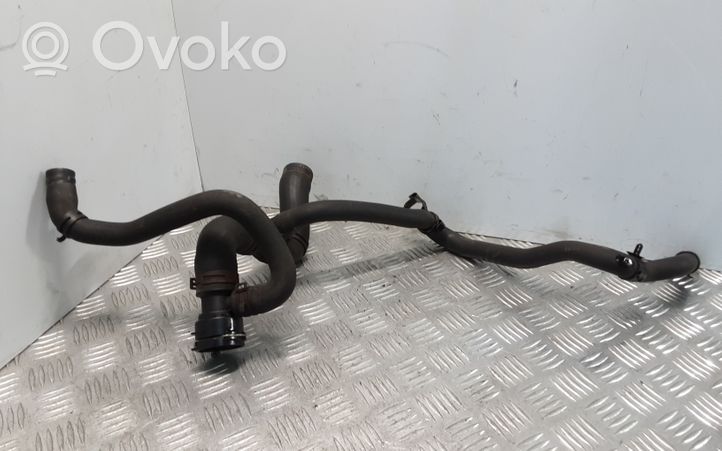 Volkswagen PASSAT B6 Przewód / Wąż chłodnicy 3C0122063J