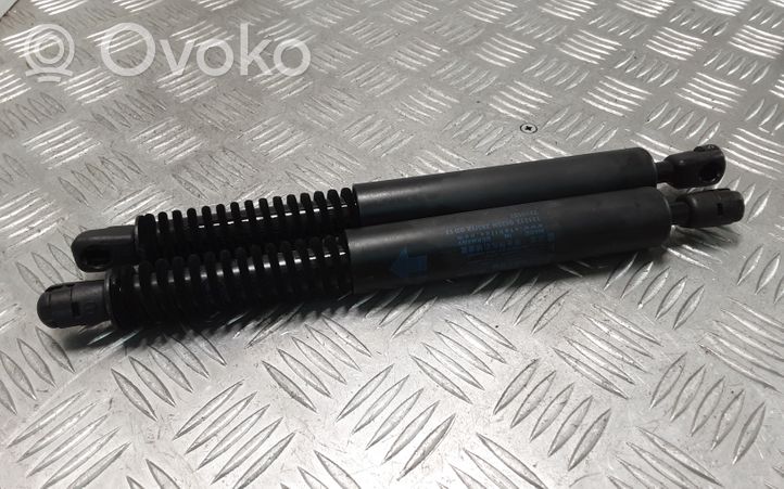 BMW 5 F10 F11 Rear window strut damper 1312120425N