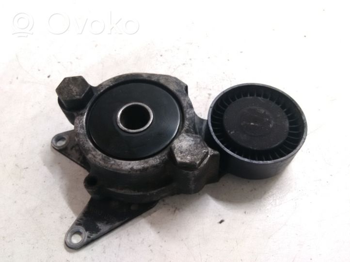 Toyota RAV 4 (XA30) Napinacz paska wielorowkowego / Alternatora 166200R010