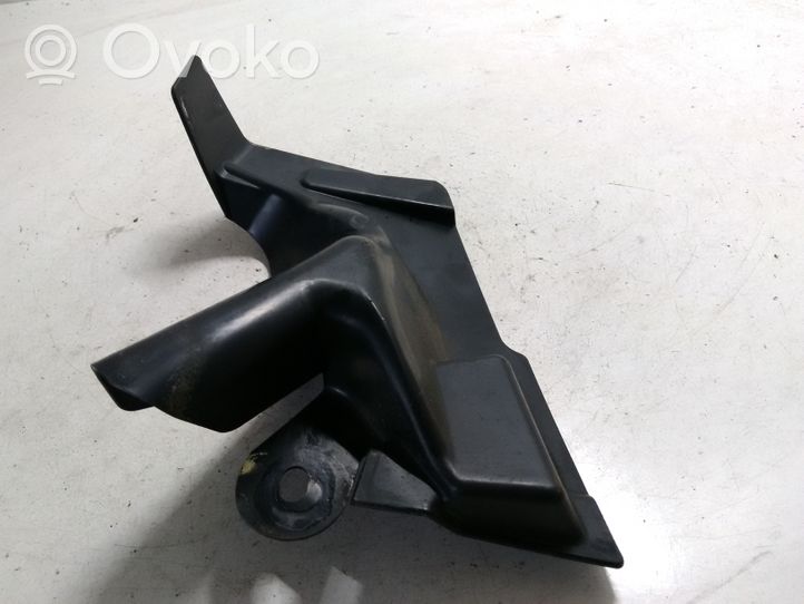 Renault Latitude (L70) Kita variklio skyriaus detalė 668140004R