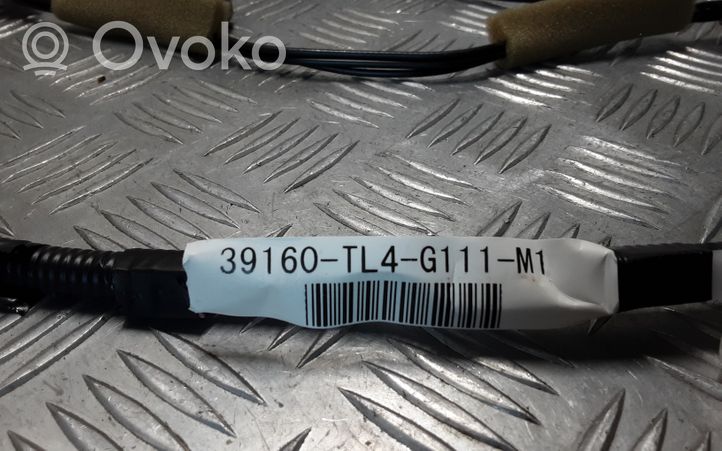 Honda Accord Altro tipo di cablaggio 39160TL4G111M1